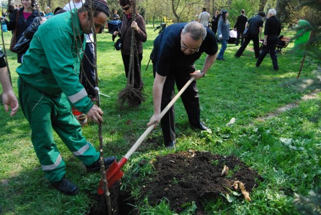 Mai multe oficialităţi ale municipiului Cluj-Napoca au plantat astăzi arbori în Parcul Central în cadrul acţiunii „Încă un pas spre verde”